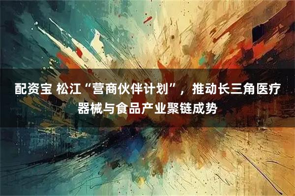 配资宝 松江“营商伙伴计划”，推动长三角医疗器械与食品产业聚链成势